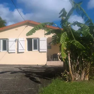 https://titacitronnelle.comcaribbean.com